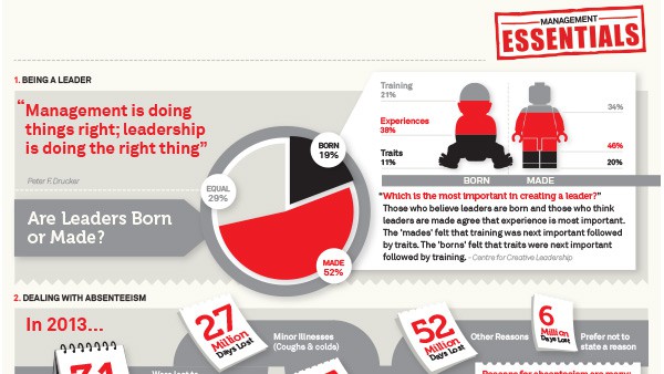 Management Essentials Infographic Thumbnail